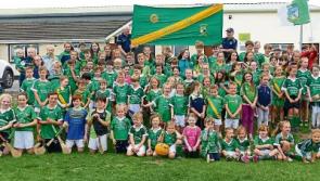 Up for the Match: Dial M for Morrissey magic on Limerick's big day
