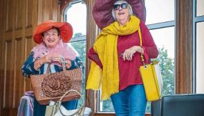 Call out for support for Milford's Harvest Fair in Limerick