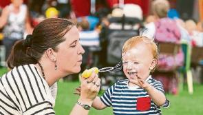 Excitement at fever pitch with countdown on to Galbally Garden Fete