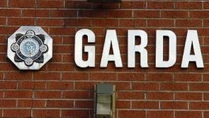 Man arrested after Limerick gardai seize €10,000 worth of cannabis