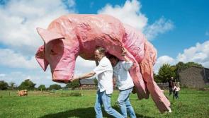 Pigtown hogs the Limerick spotlight as food series returns for another outing
