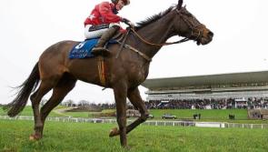 Limerick Racecourse to stage Munster's first Grade 1 race