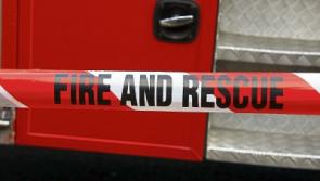No kitten: Limerick fire crews deployed to assist feline stuck in drain
