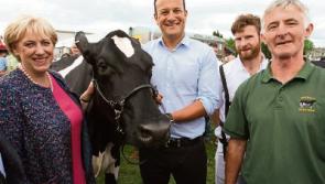 Taoiseach in ‘rhapsody’ to meet Limerick cow Millie