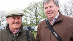 Limerick trainers saddle three winners at Listowel Harvest Festival