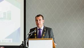 Collins backs elected Limerick mayor but says position must have power