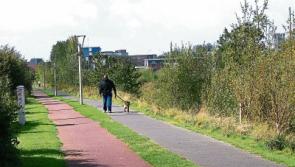 Engineering works on Canal Bank cost Limerick council &euro;33,000&nbsp;