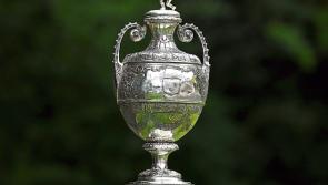 Three Limerick clubs in Munster Senior Cup action on Saturday