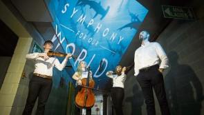 Two unique firsts for Limerick’s GAA headquarters with National Geographic Symphony