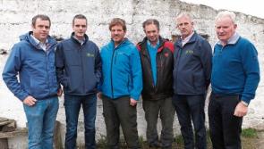‘A winter of discontent’: IFA president calls for low-cost loan scheme on Limerick farm visit