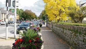 Adare retains title as Limerick’s tidiest village