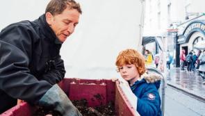 Cars are banned from Limerick&rsquo;s O&rsquo;Connell Street for a day