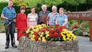 Pretty County Limerick villages shine bright at Tidy Towns awards