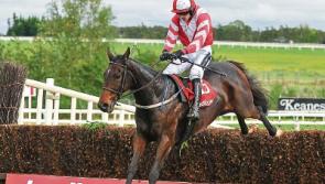 Top class entry for JT McNamara Ladbrokes Munster National at Limerick
