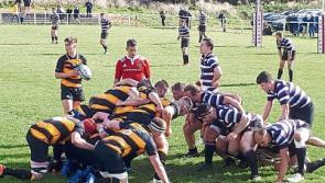 Four Limerick wins on thrilling day of All-Ireland League action
