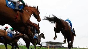 ‘Scorpion’ fancied to give Eric McNamara win in Munster National at Limerick