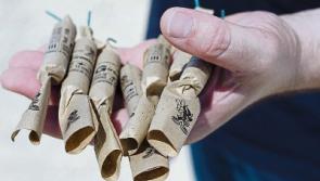 Limerick gardai issue warning on fireworks as incident sparks evacuation of flats