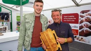 Limerick chainsaw sculptor branches out with Liam MacCarthy made from wood 