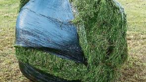 Limerick farmer&rsquo;s silage bales slashed with knife under cover of darkness