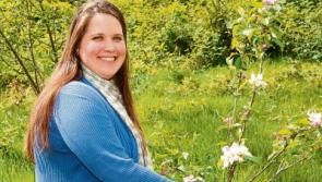 Something unusual&nbsp;is brewing at tea plantation in County Limerick