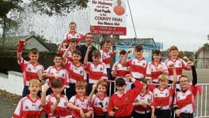 Go on, sir! Doon CBS boys cheer on teacher in Limerick county final