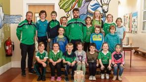 WATCH: School children write brilliant song about Limerick hurlers 