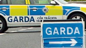 Emergency services attend scene of reported truck and car crash in County Limerick