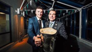 Limerick’s All-Ireland hurling win ‘showed us who we really are and who we can be’