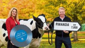 Tommy Fleming releases hit ‘moo-usic’ song for Limerick charity Bothar