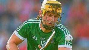 Tom Morrissey inspires Ahane to Limerick senior hurling relegation play-off win over Ballybrown