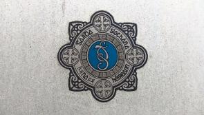 Gardai launch investigation after mass brawl at Shannon hotel
