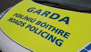 Disqualified driver arrested by Limerick gardai after they were spotted littering
