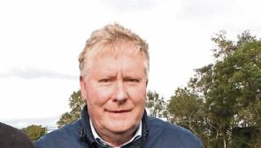 Well-known sporting figure in County Limerick town seeking Fine Gael nomination