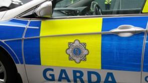 Man in his 20s in critical condition following car and truck collision in County Limerick