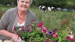 Gardening: My time to hang up the trowel