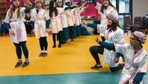 Slick Grease school show at Limerick’s Castletroy College