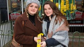 WATCH: Limerick Thomond Rotary Club launches Christmas Remembrance Tree