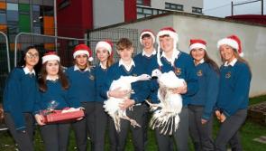 County Limerick school’s turkeys are ready for the Leaving