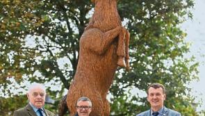 County Limerick man creates priceless deer sculpture with chainsaw