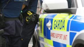 High visibility policing plan in place for ‘unique demands’ of County Limerick town