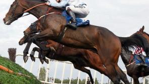 Under starter’s orders for Christmas racing at Limerick Racecourse