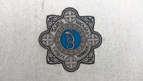 Garda concern as theft from shops rise across Limerick