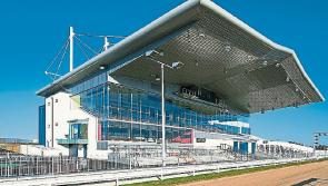 Limerick Greyhound Stadium action features on Talking Dogs
