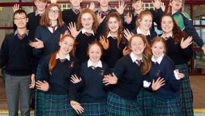 A lot of ‘confabulation’ about County Limerick school’s six BT Young Scientist entries