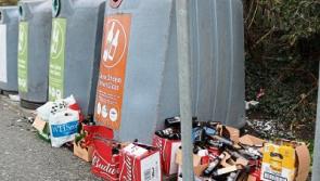 Clean ‘Swat’ team to target Limerick areas criticised in IBAL litter report