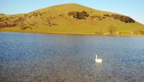 Boost as&nbsp;over &euro;300,000 granted to three projects in county Limerick