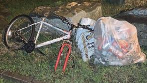 Illegal dumping a ‘stain’ on Limerick city as crackdown is called for