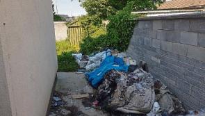 Limerick Council has ‘no idea’ where illegal waste ended up as woman is fined