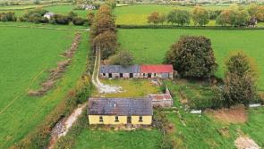 Record land price in County Limerick: Small farm sells for whopping €38k an acre 