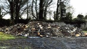 Chemicals secretly buried in County Limerick dug up and then left ‘a field away’